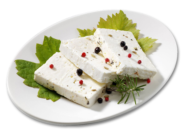 919_korsicherschafskaese1