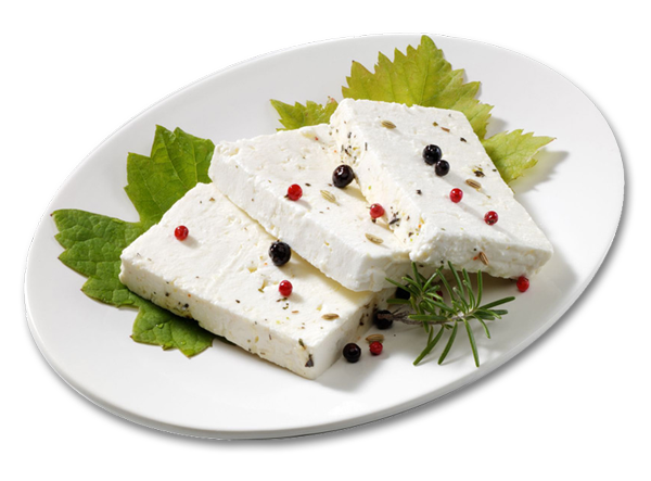 919_korsicherschafskaese1