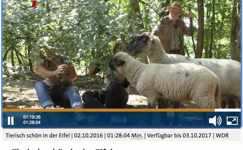 WDR Sendung: Tierisch schön